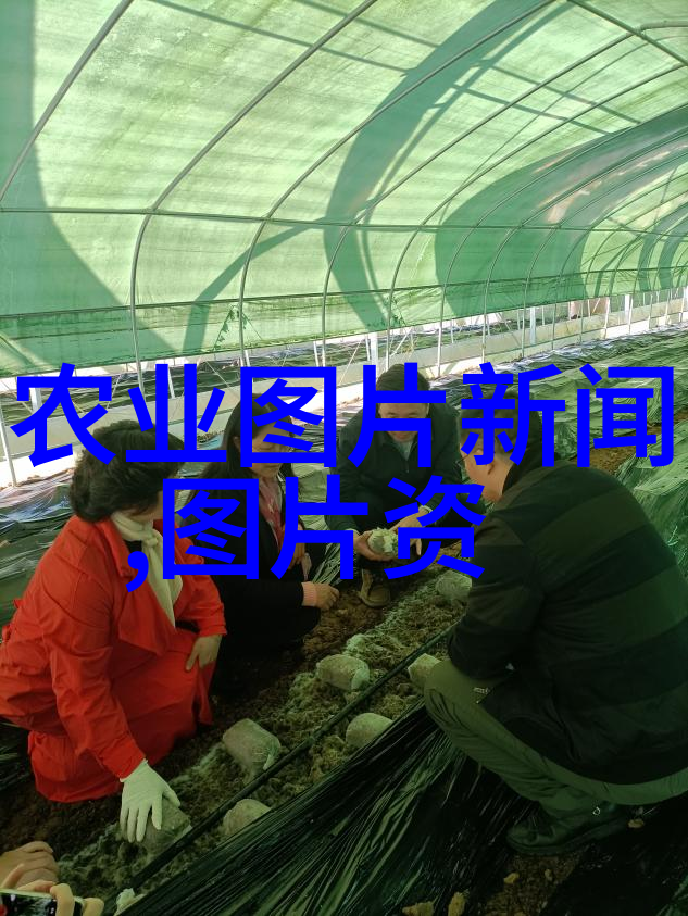 种植药材国家补贴政策有哪些