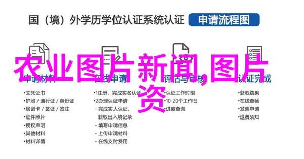 多肉植物图鉴全集探索奇迹中的自然美丽