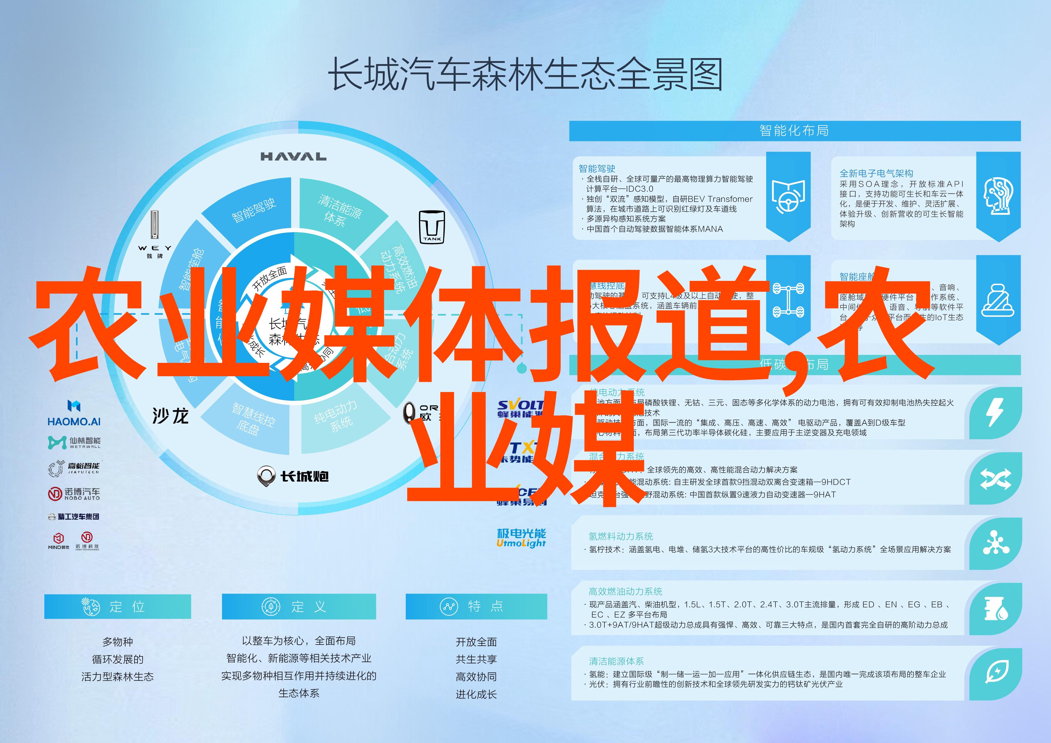 大蒜期货剖析香料市场的新趋势与投资机遇