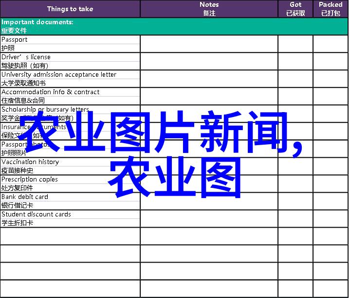 主题我是如何用100种水果种子变成小盆栽大明星的