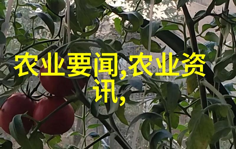 在有限的空间中如何让多株小型植物共存并繁荣