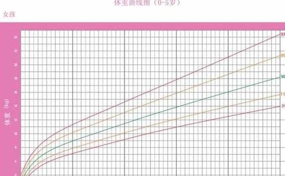 从制度建设到日常实践提升司法体系免疫性