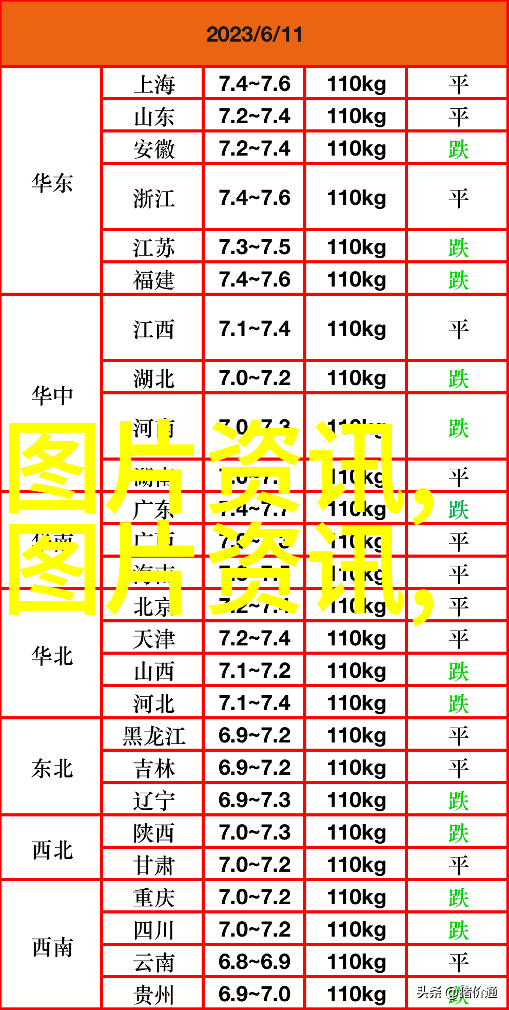 生猪养殖资讯亲自体验圈舍革命如何提升饲料利用率