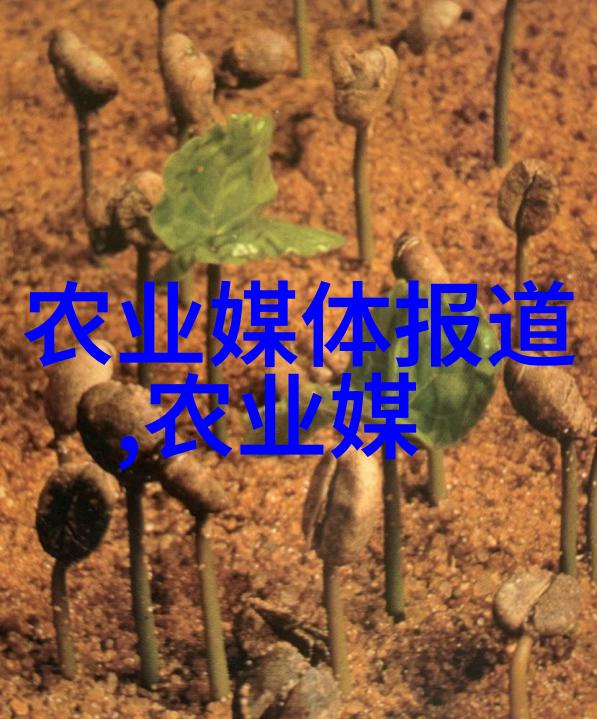 文章标题绢丝之王了解高品质棉花的种植与加工秘诀