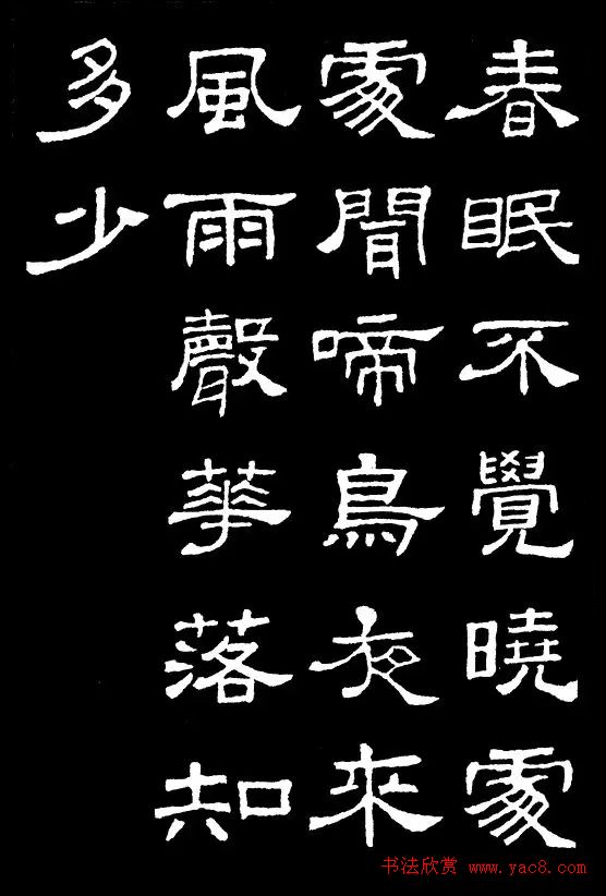 民法典继承法解读权利归属遗产分配与法律程序