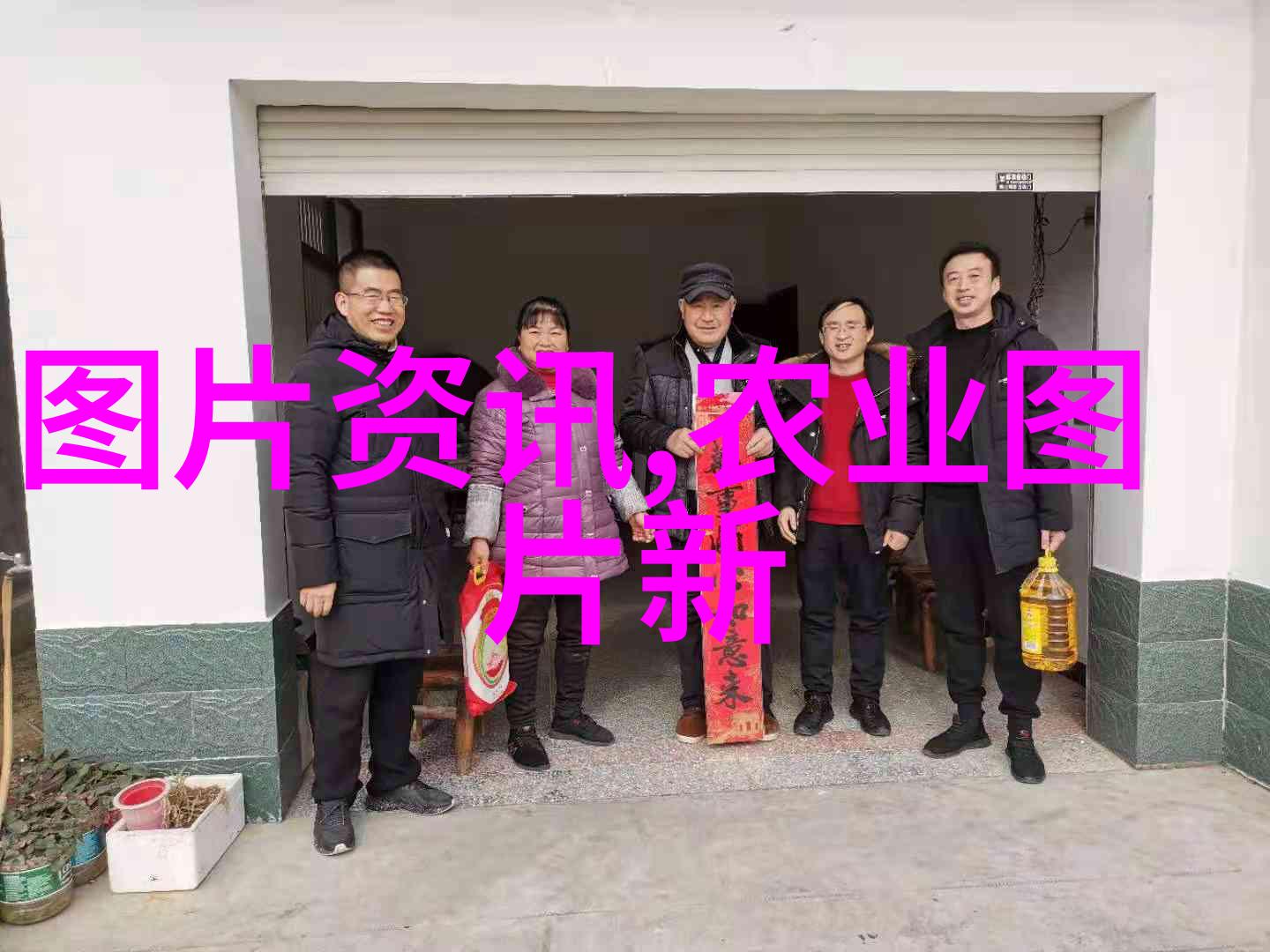 在家中如何创造一个理想的环境来培育板蓝根幼苗