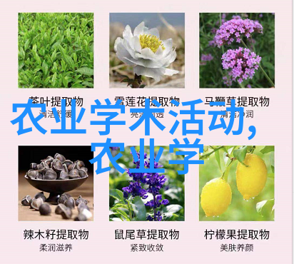 养殖百科水生生物的饲养与管理技巧