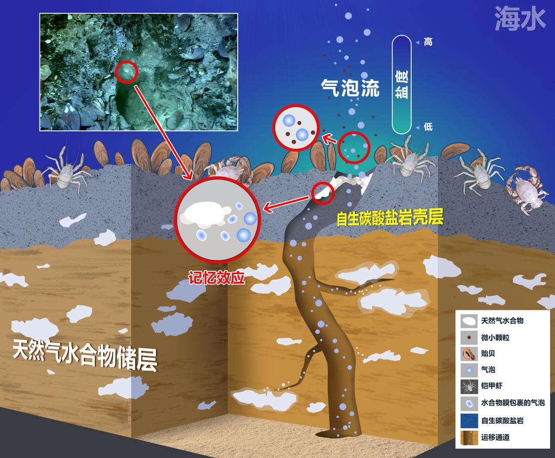 民法典的智慧篇章纠纷与和解的舞台