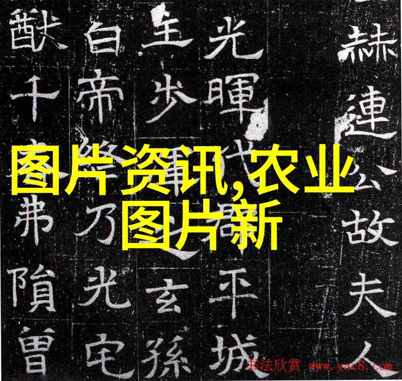 高效益肉鸽养殖技术优化饲养环境与疾病防控