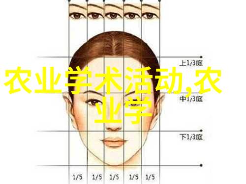 不许拿出来回忆与检查的主题探究