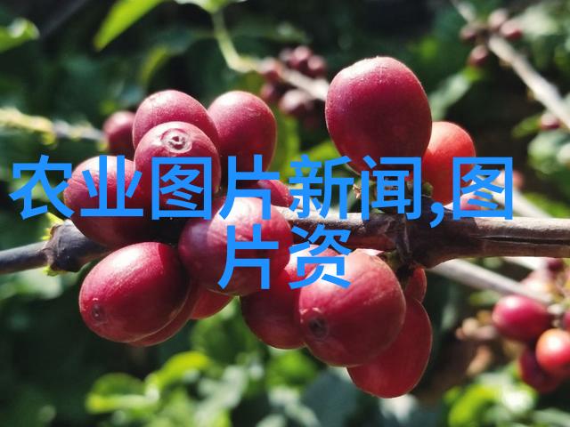 精准养殖最新技术与管理策略