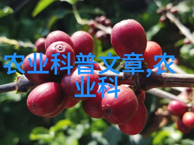 农村山上中草药大全图片探秘绿野中的药用宝藏