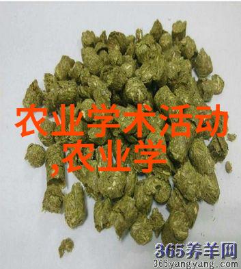 高效饲养与健康管理提升肉兔养殖经济性与可持续发展