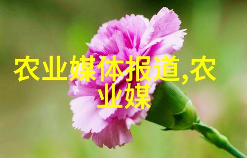 什么水果容易种植咱们这儿种苹果挺简单的