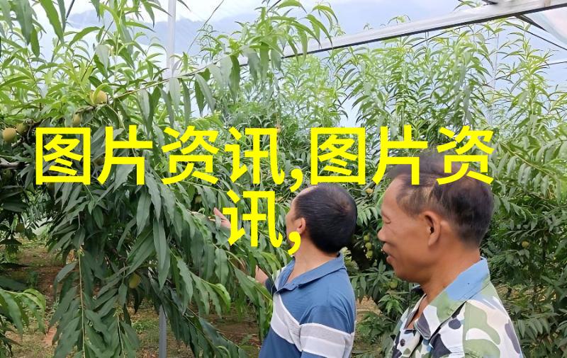 养殖技术员高效畜牧管理与动物健康监护