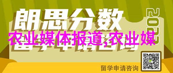 教师职业道德与风范十项准则深度解析师德师风十项准则的内涵与实践