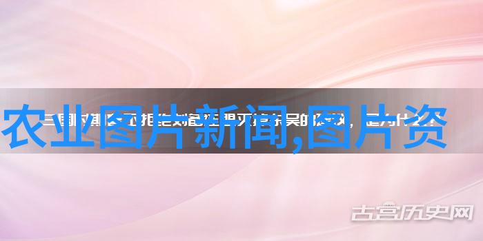 白云山红叶银杏节开幕苗木通会员有生意吗