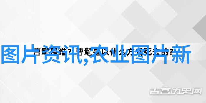 壁虎养殖技术室内环境优化与生物安全管理