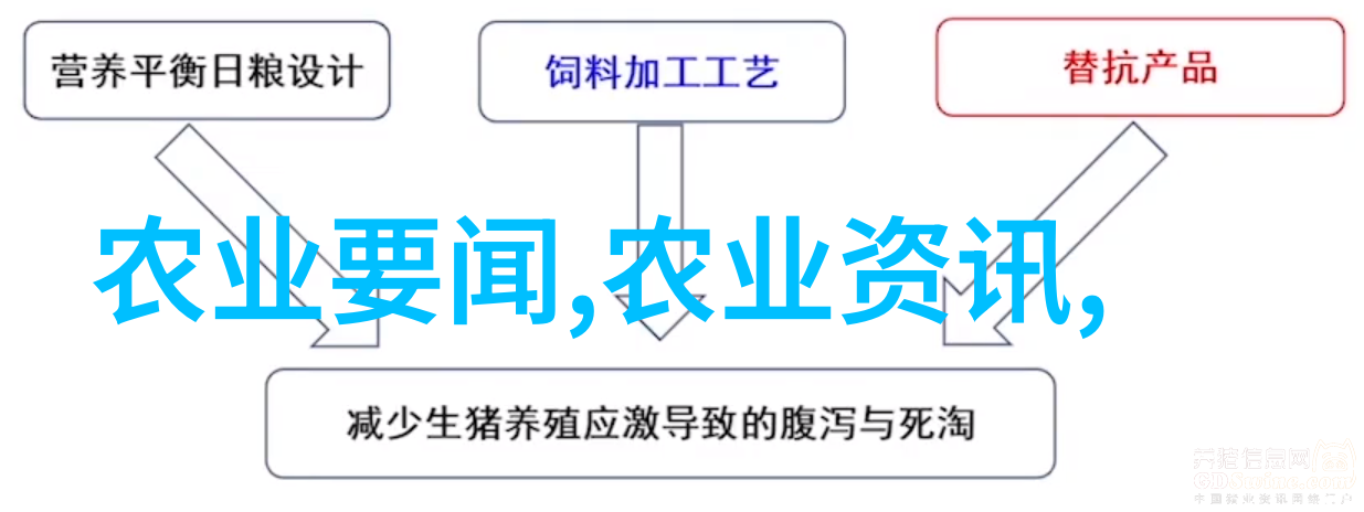 无土栽培新纪元空气中寻找生长的可能