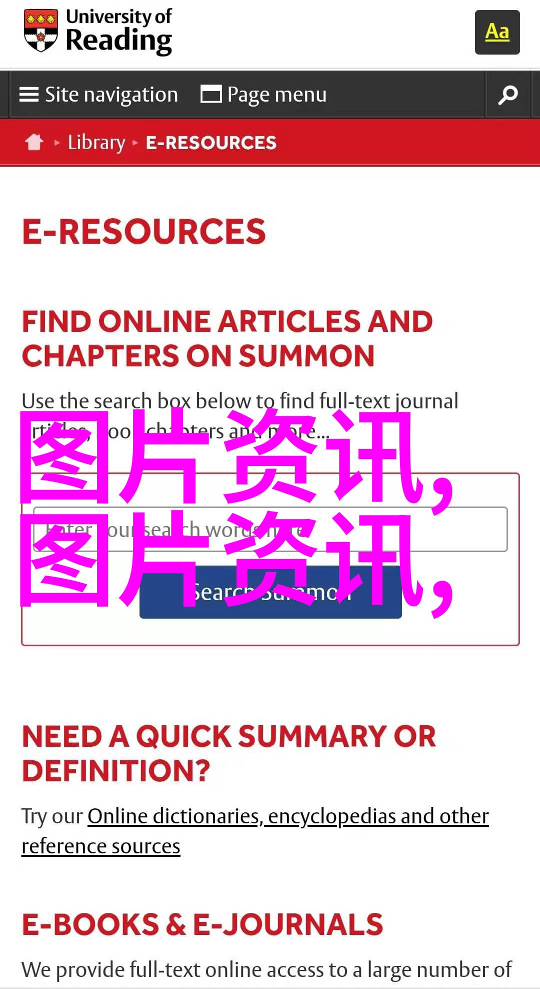 蜜蜂一年能繁殖几箱蜂后巢穴的秘密生态系统