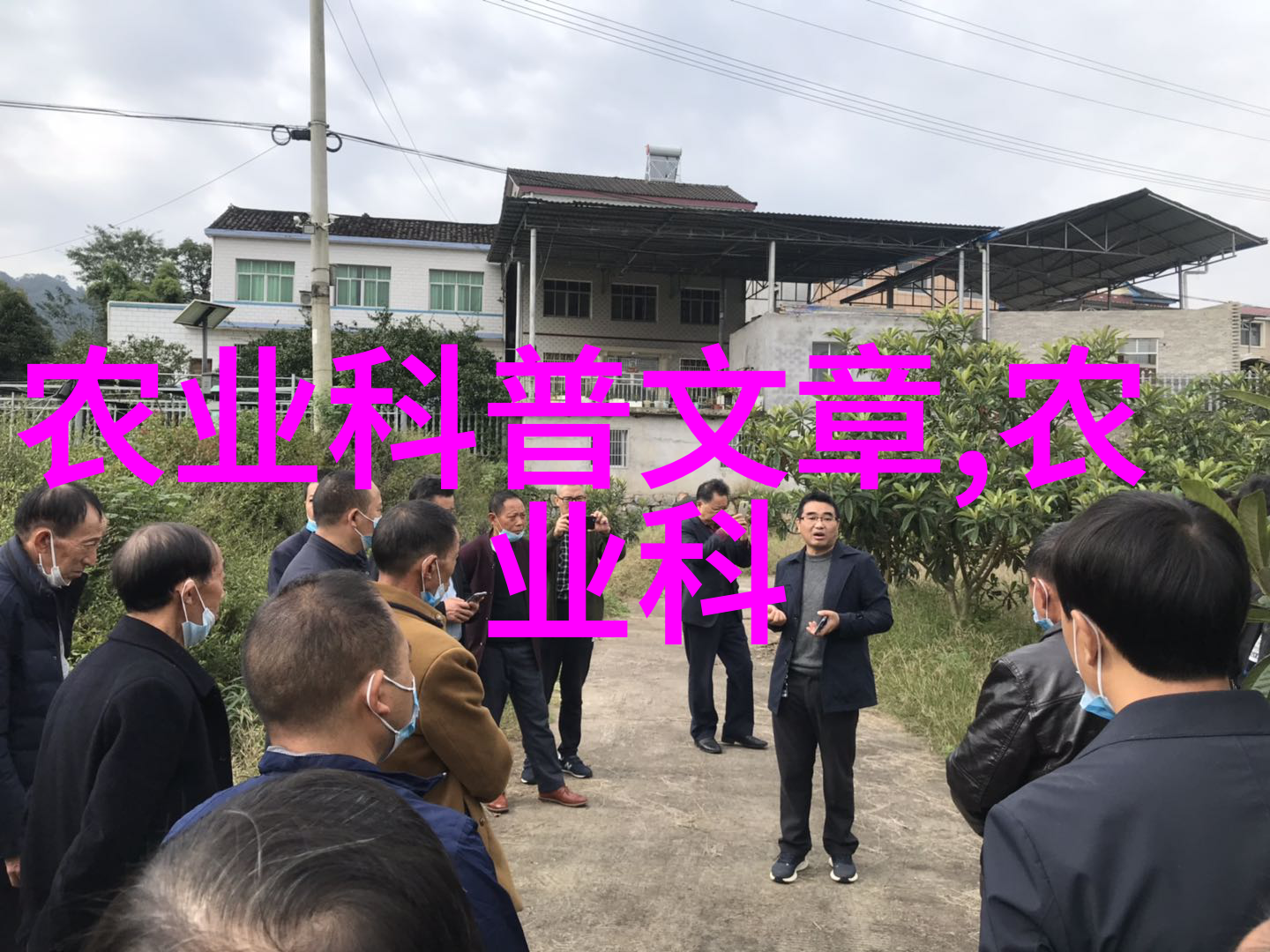 绿色无土蔬菜大棚种植新趋势与实用技术