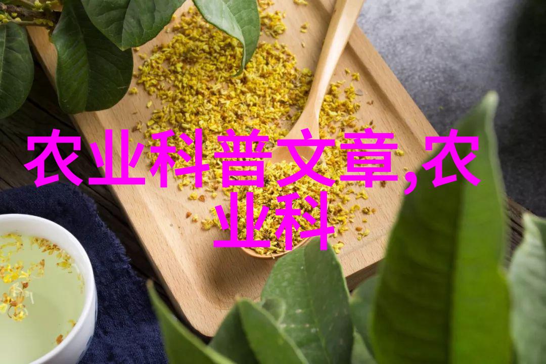 工地小型机械设备建筑施工便携式机械