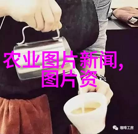 法律基本知识有哪些内容-揭秘法律常识的精髓