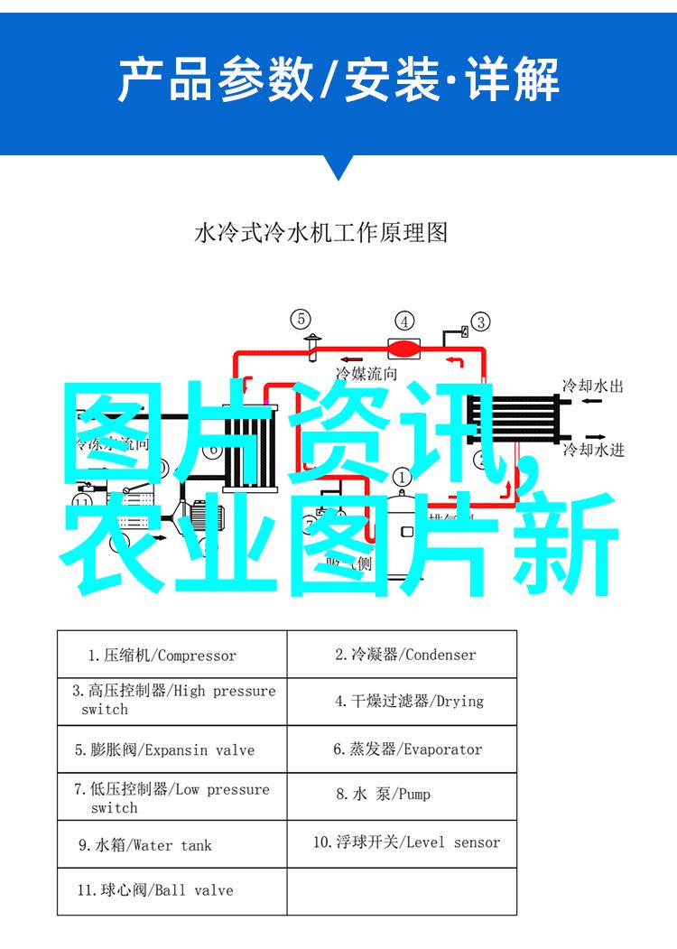 母羊日常饮食中的玉米量究竟是怎样的数字