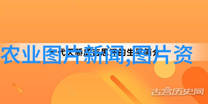 2022民法典全文解读新时代个人权利与义务的规范体系