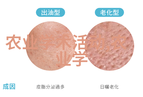 小型微耕机大冒险土豆王国的地下农业革命