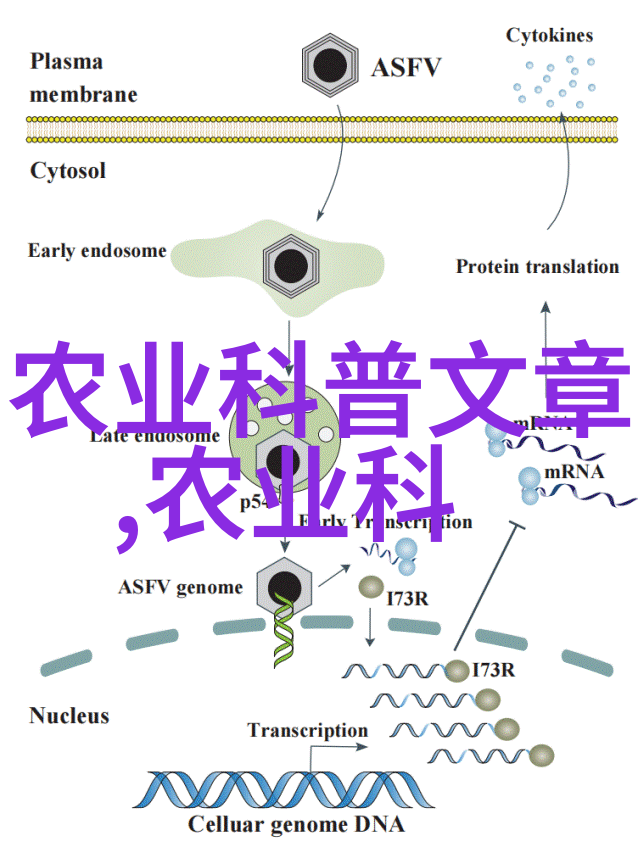 怎样预防和治疗野兔常见疾病