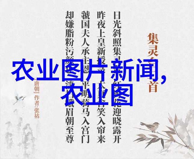 法律知识内容大全我是不是应该知道这些从合同法到刑法让我们一网打尽