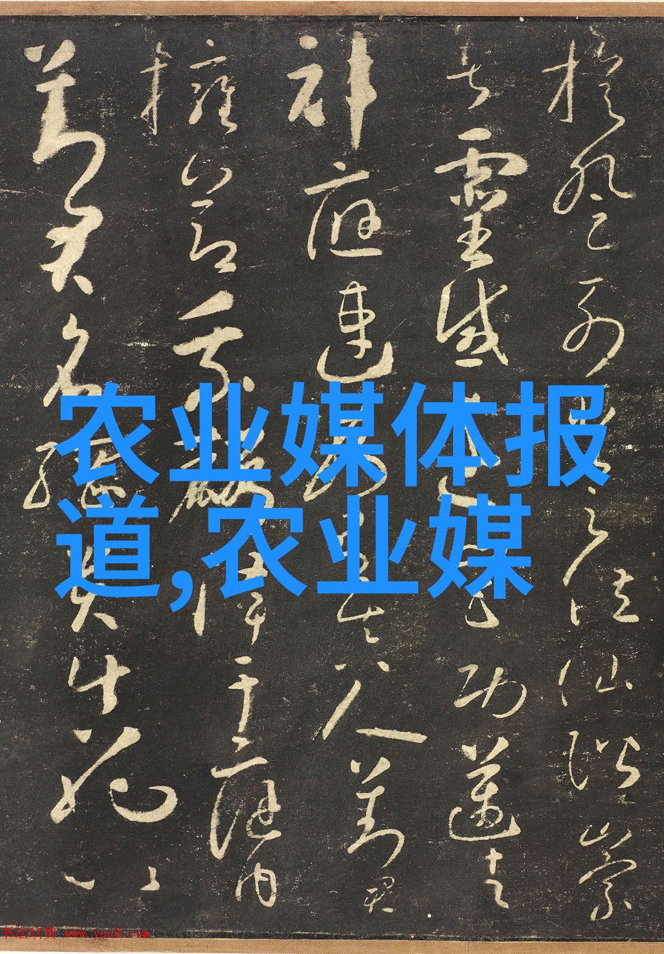 福建省食用菌栽培原料用棉籽壳等18项地方标准中央疫情防控政策的新篇章