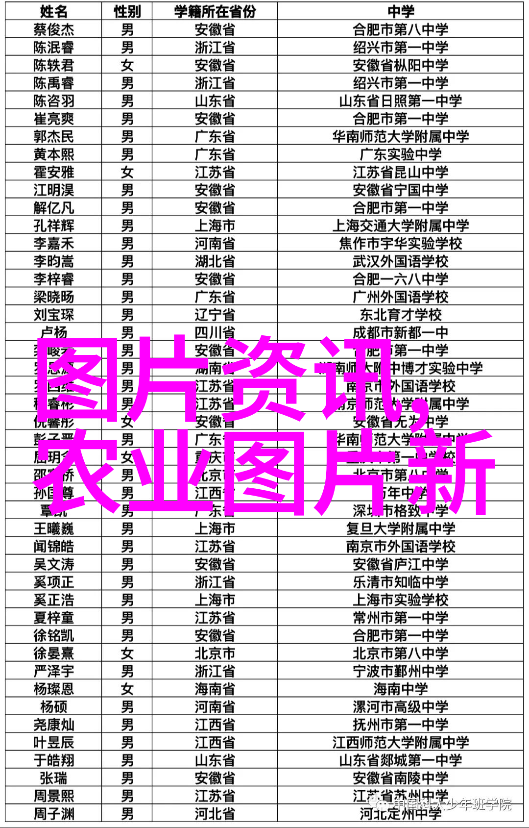 美国红枫树10公分种苗的市场价格分析