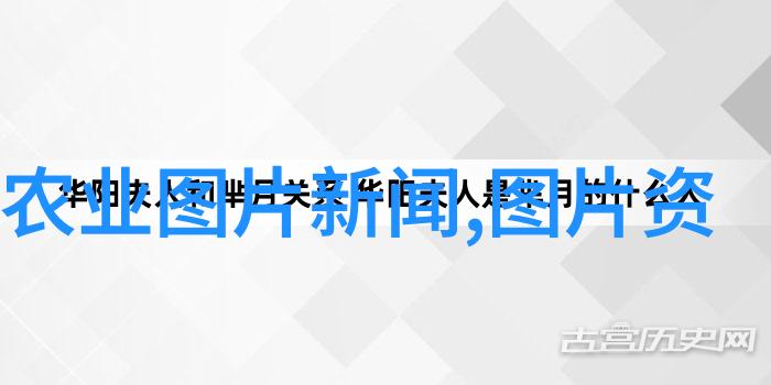 西北苗木网求购寻找那些能唱歌的树儿