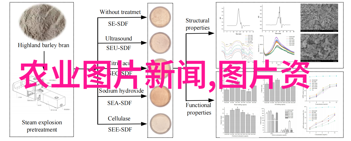 中医药学-3000种中草药大全探索传统名方与现代图像