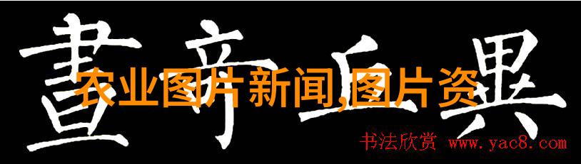 讲课桌下面给老师口-低语时光课堂背后的私密对话