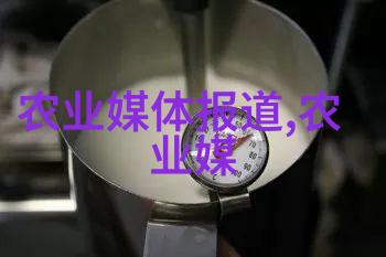 在建设过程中应注意什么以防止预算超支和时间拖延问题出现