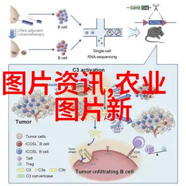 物料提升机高效提升的关键技术与应用