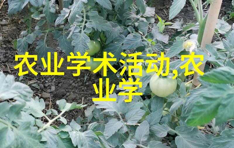 陕西杨凌苗木基地的桂花树品种及价格介绍