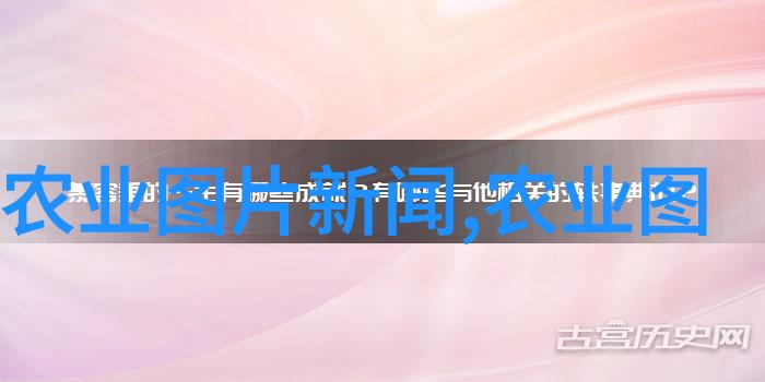 2022年中国肉牛存栏量走势分析农业养殖业发展趋势