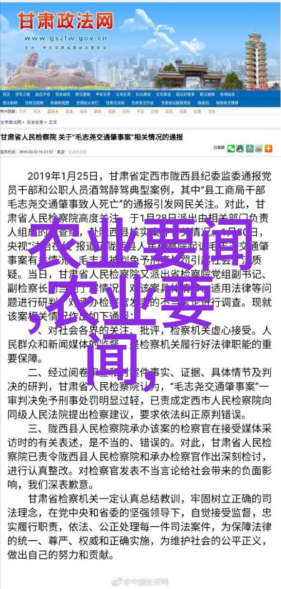 深秋的养生滋补汤白果炖乌鸡