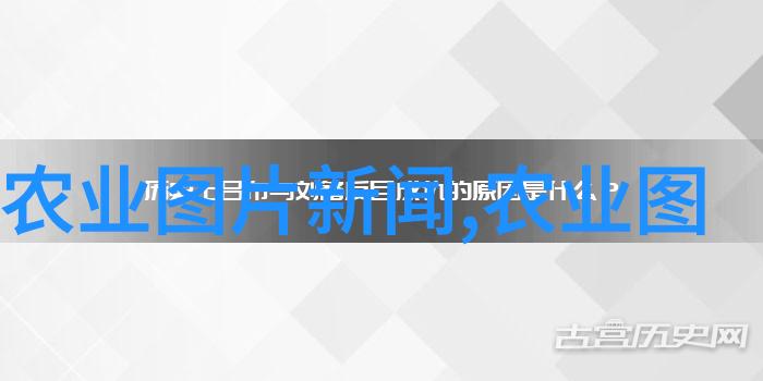 饲料资讯我是猪我要告诉你新鲜蔬菜如何变成最佳饲料