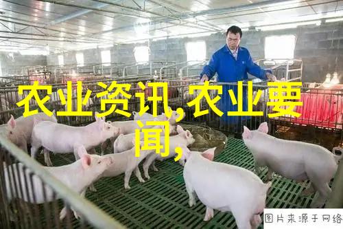 养殖百科 - 动物饲料配方大全提高养殖效率与健康