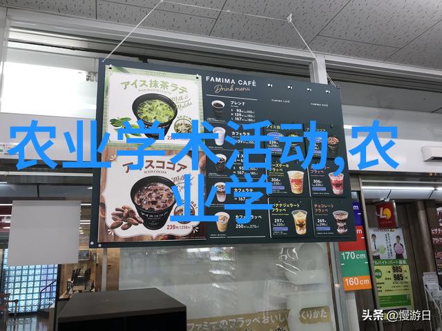 地方优良鹅品种道州灰鹅