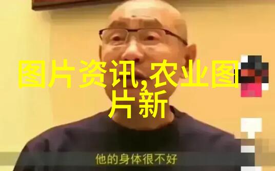 深度挖掘土洞养蜂技巧揭秘蜂群生态与管理策略