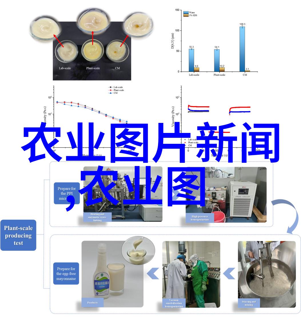 养殖户微信群我是猪队友揭秘我们如何在群里搞笑解决鸡蛋问题