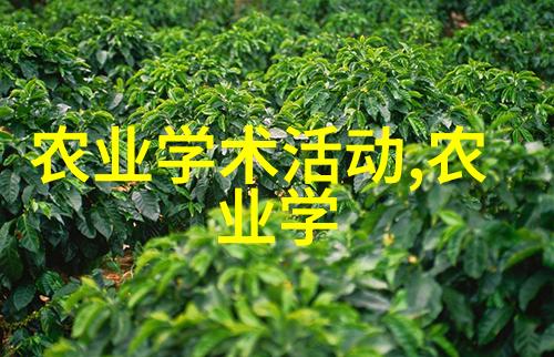 夏季养蜂指南如何通过视频提升您的蜂群健康