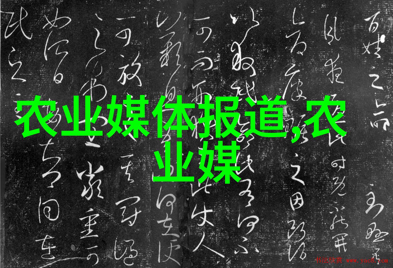 探岳体-肥水一体探岳体揭秘古人智慧的源泉