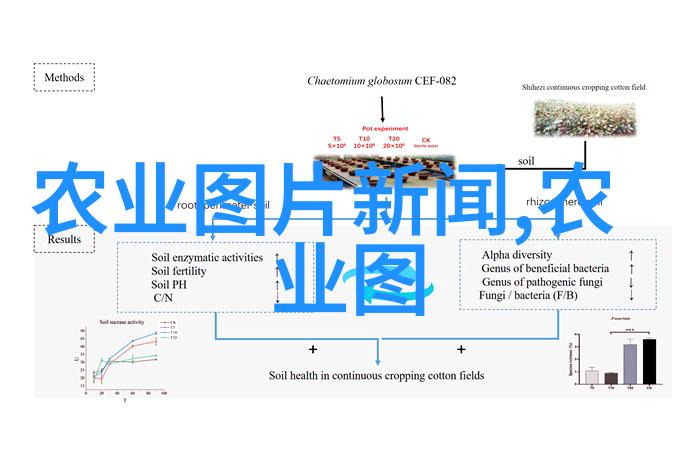 甜蜜探测蜂蜜的微妙之声